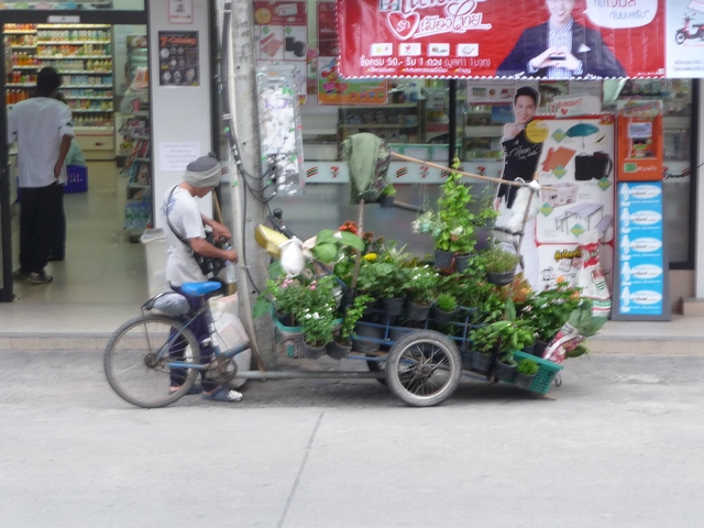 P1020602.jpg