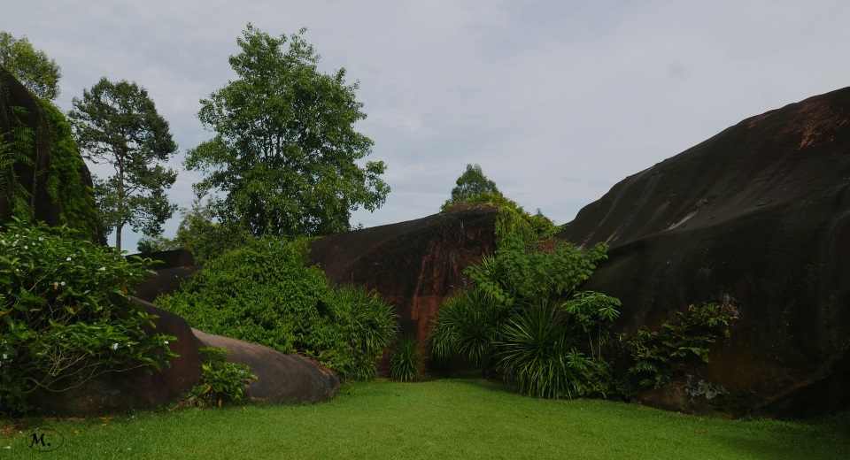 Nabel 01.JPG