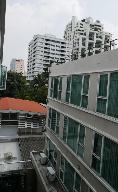 P1190166.JPG