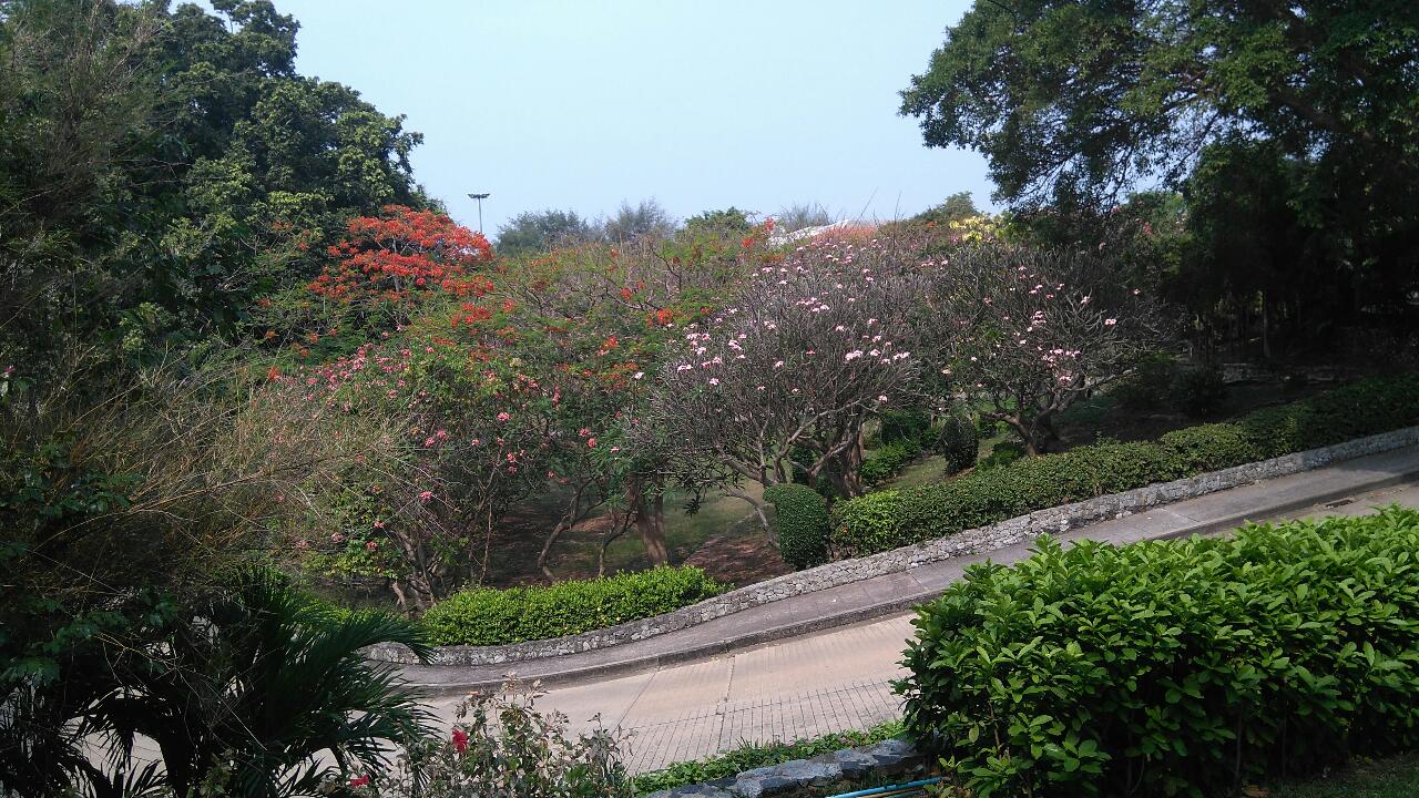 DSC_0138.JPG