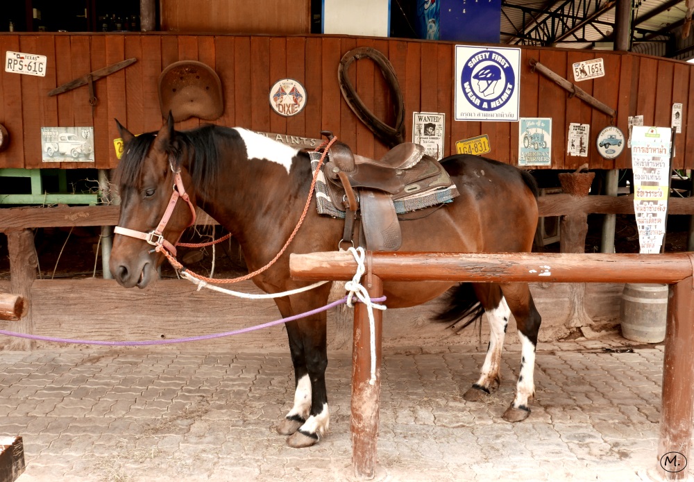 Thongsomboon Club 02.JPG