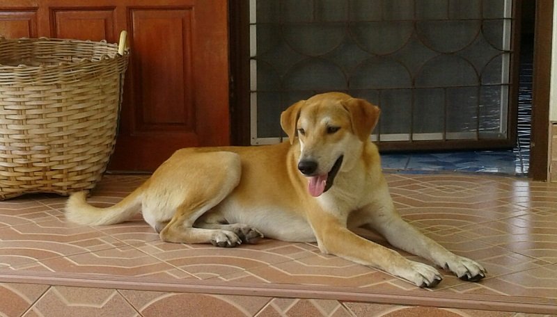 IMG-20190131-WA0000.jpg