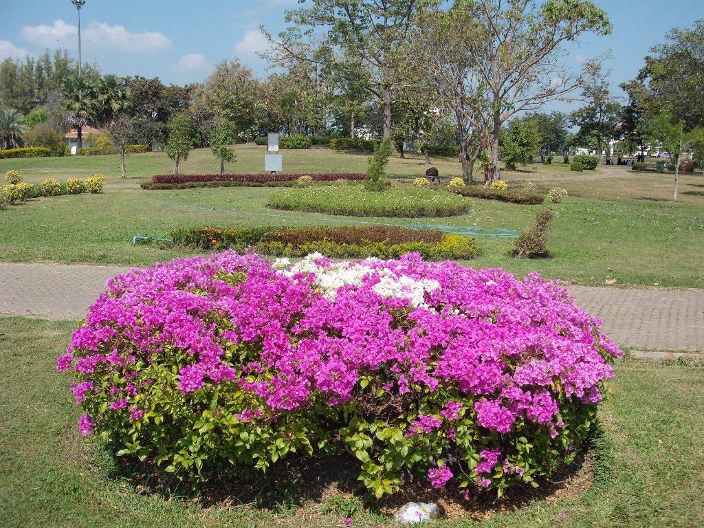 DSCF3556.JPG