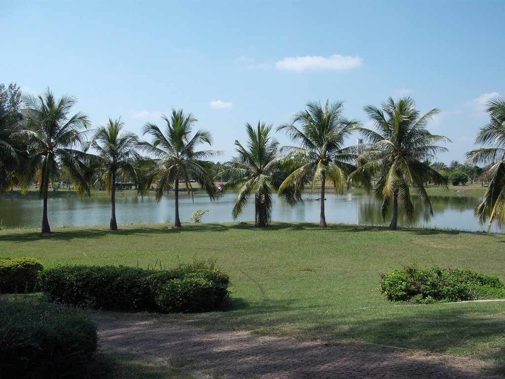 DSCF3560.JPG