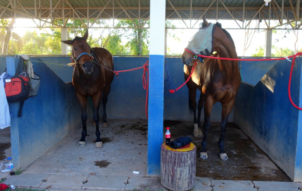 Pferderennbahn b.JPG