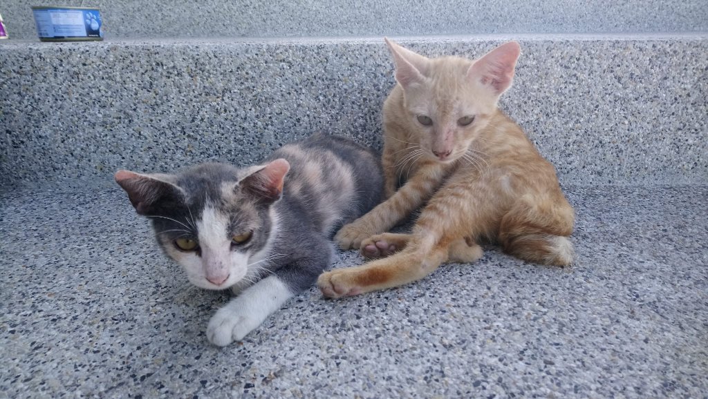 WhatsApp Image 2019-11-30 at 18.30.24.jpeg