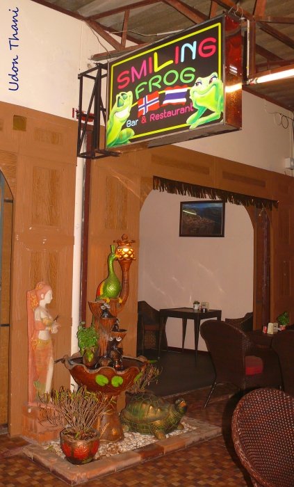 A Udon 017 Smiling Frog.jpg