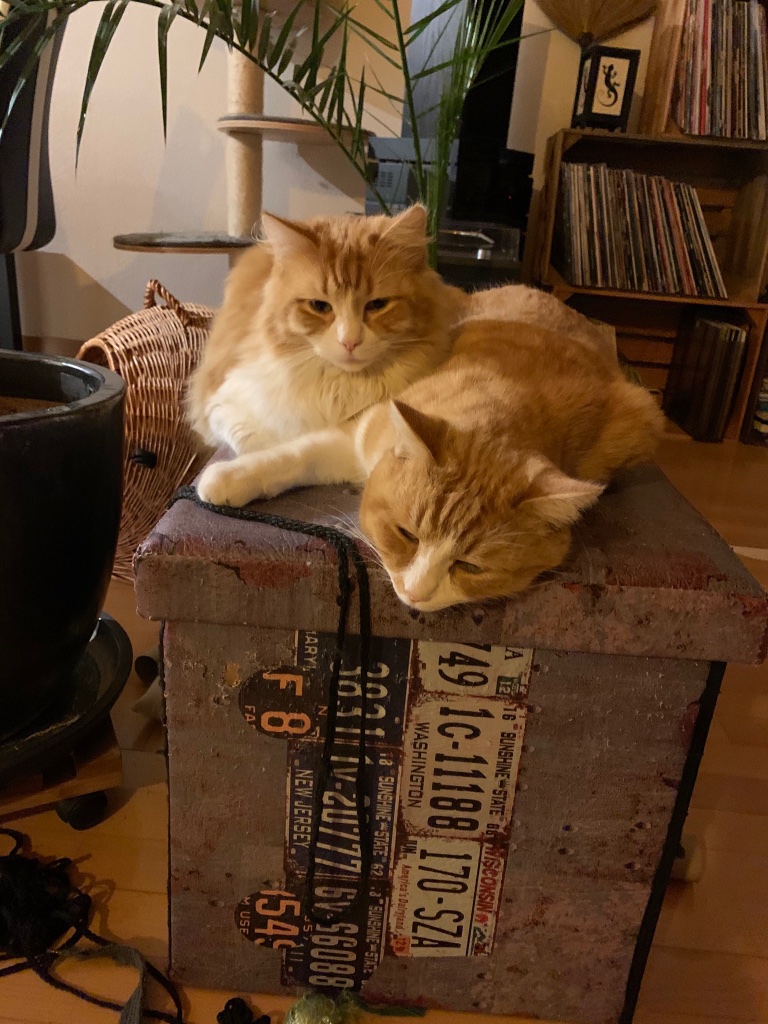 8F045B42-272D-4982-AEB1-4335B8A92730.jpeg