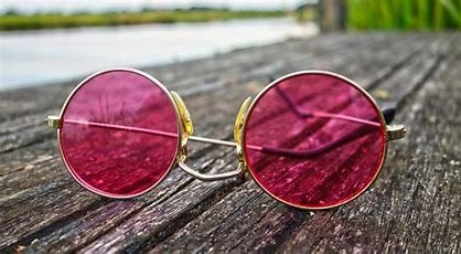 rosa Brille van der Leyen.jpg