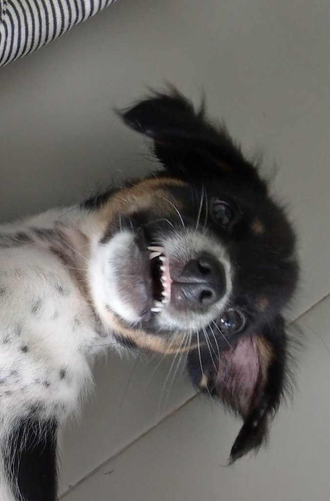 IMAG1713_3.jpg
