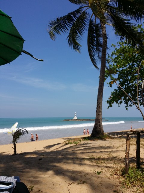 20150312_111613 (Small).jpg