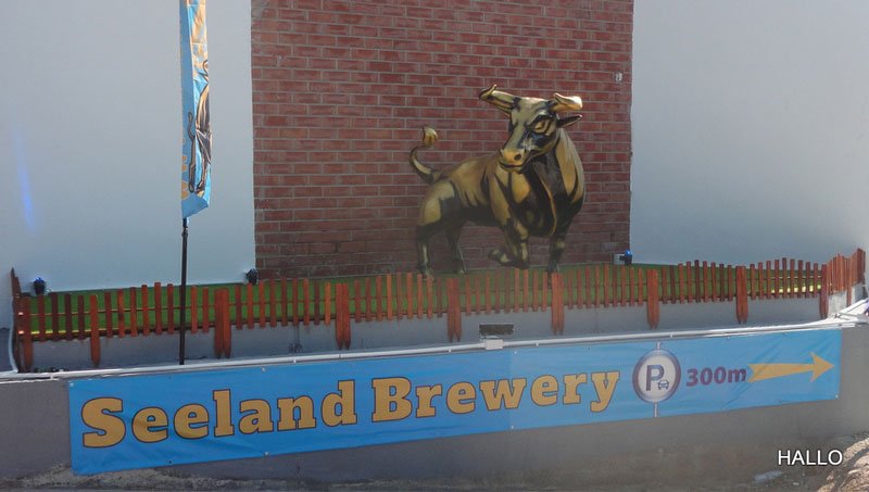 Soft-Opening-der-Seeland-Bewery-Seeland-Brewery-1.jpg