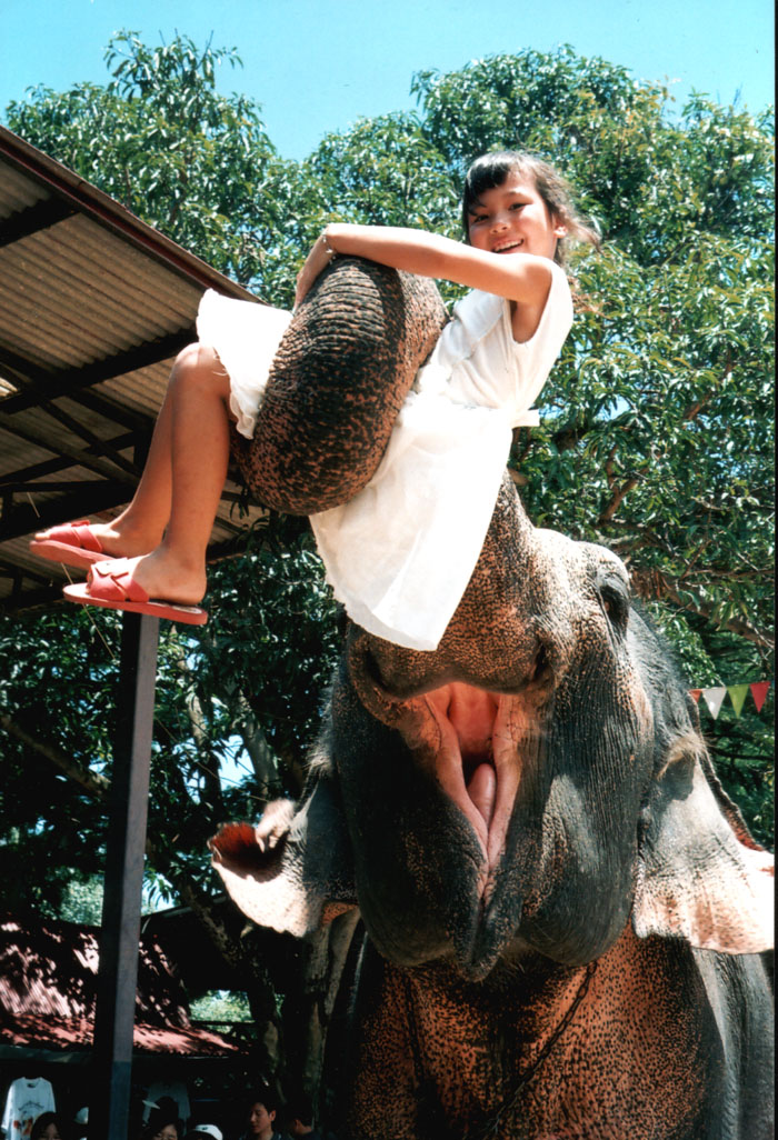 Elephat-Girl.jpg