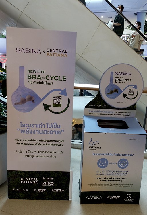 Bra-cycle.JPG