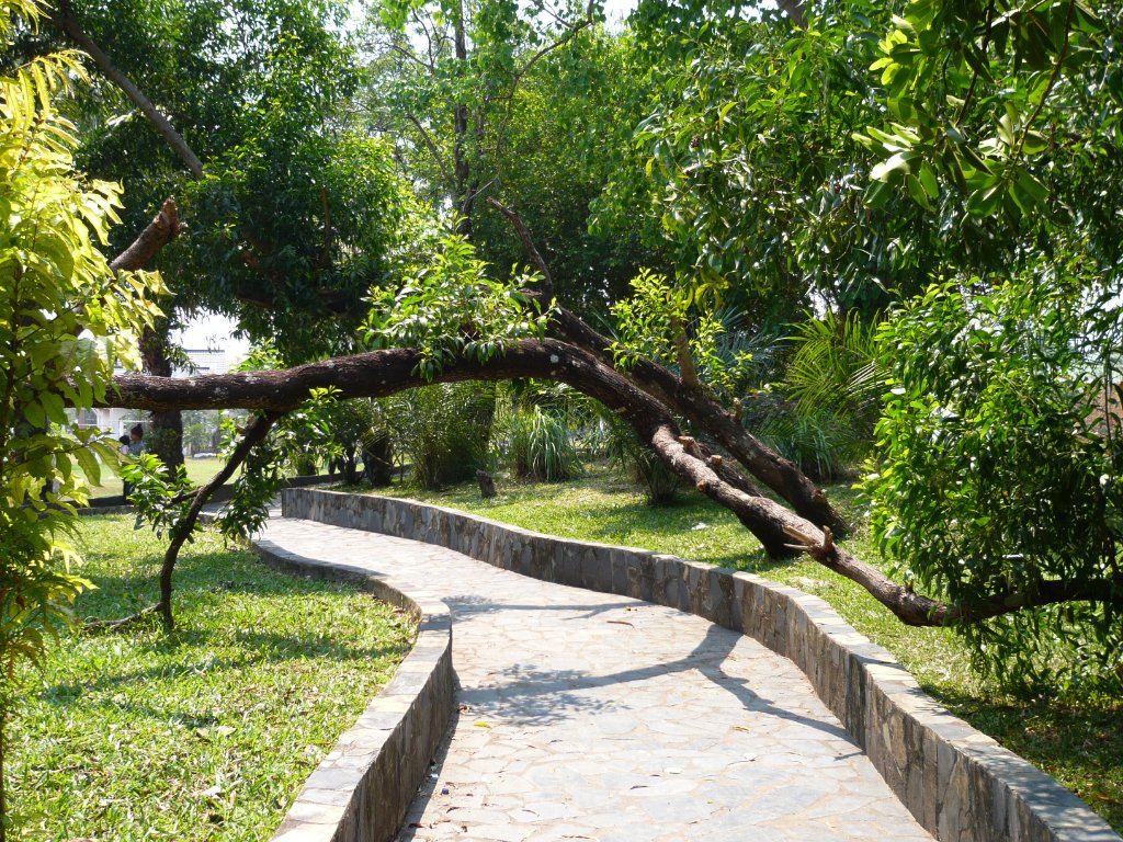 P1000073.JPG