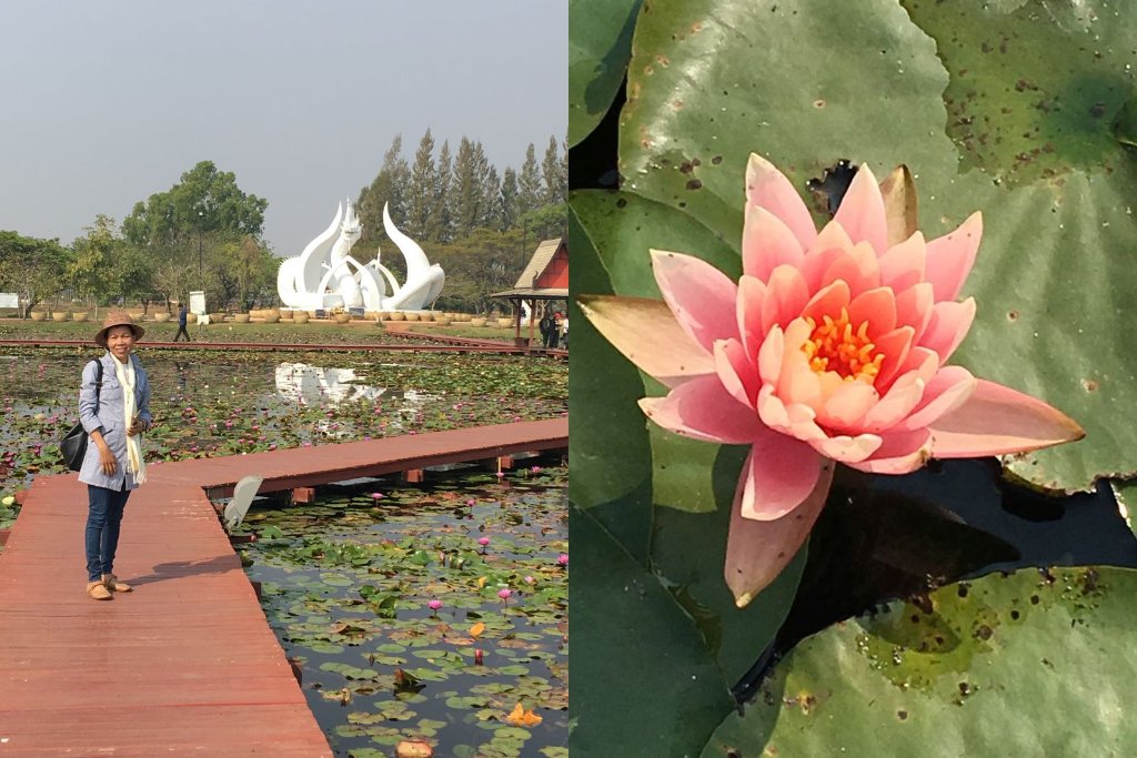 Sakon Nakhon 09-2018.jpg