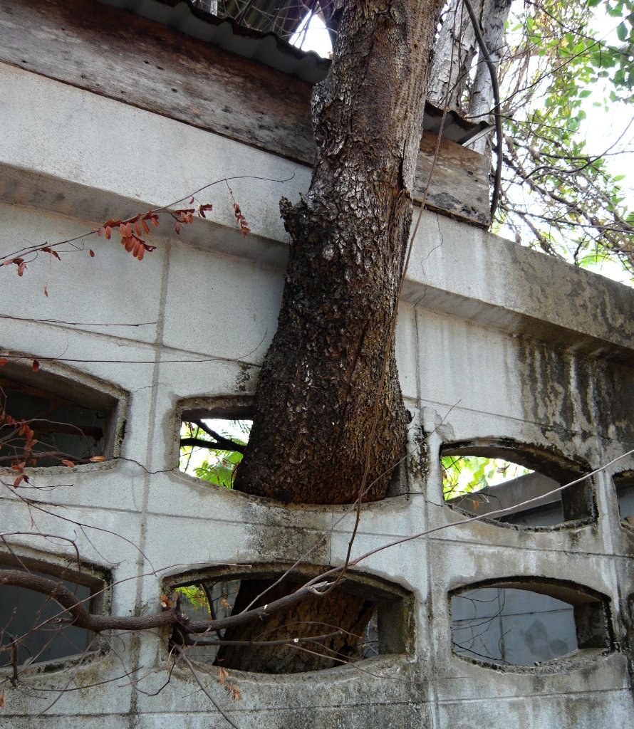 Naturkampf-2.JPG