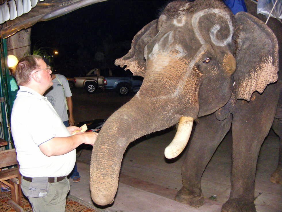 Elefant-2.jpg