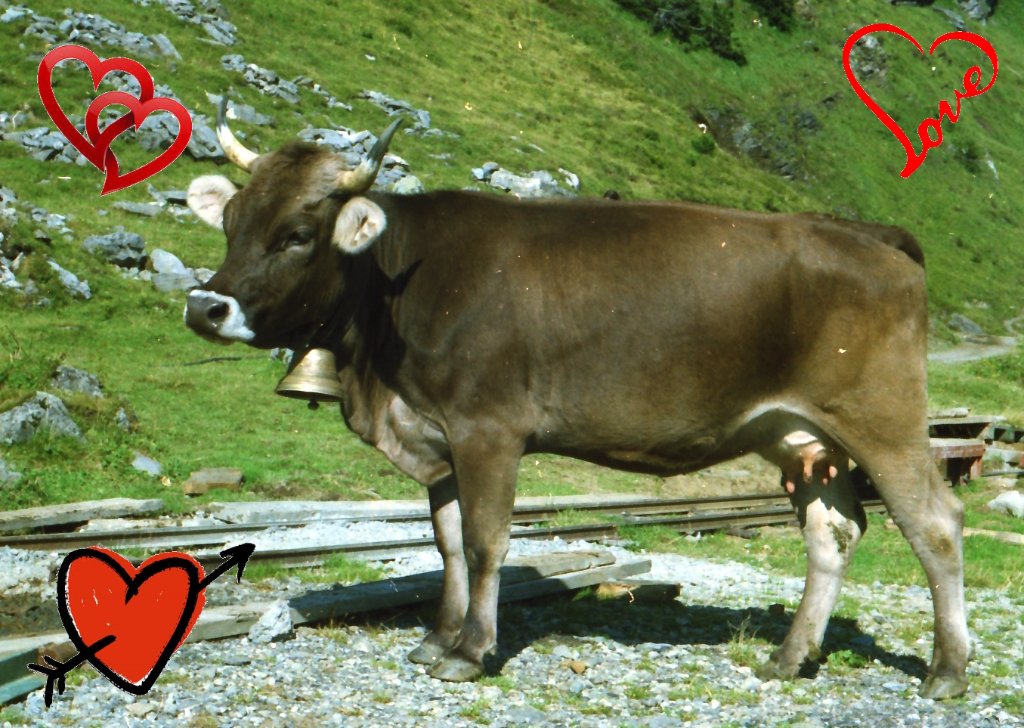 Engstlenalp.jpg