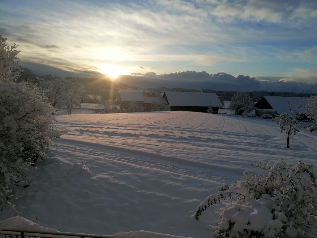 WhatsApp Bild 2024-11-22 um 11.12.25_6be6cf92.jpg