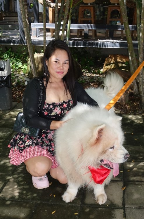 chinesischer Eskimo 1.JPG