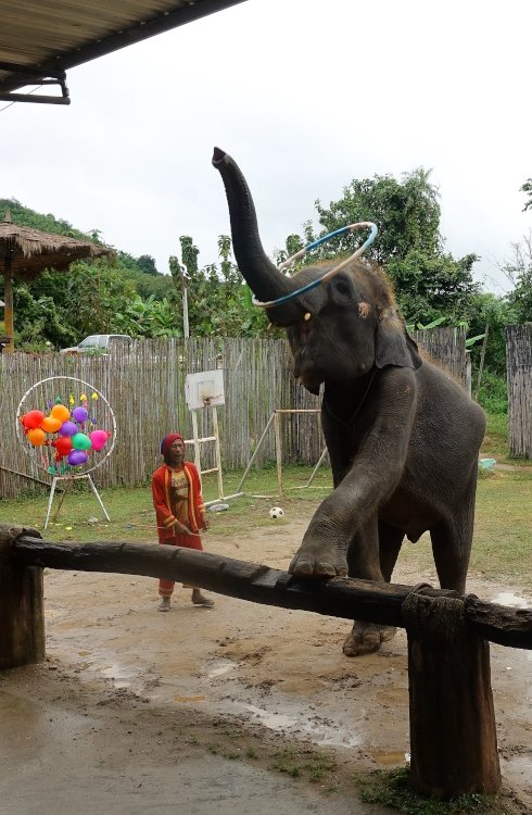Chiang Buak Camp 9.JPG