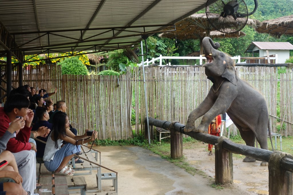 Chang Puak Camp 7.JPG