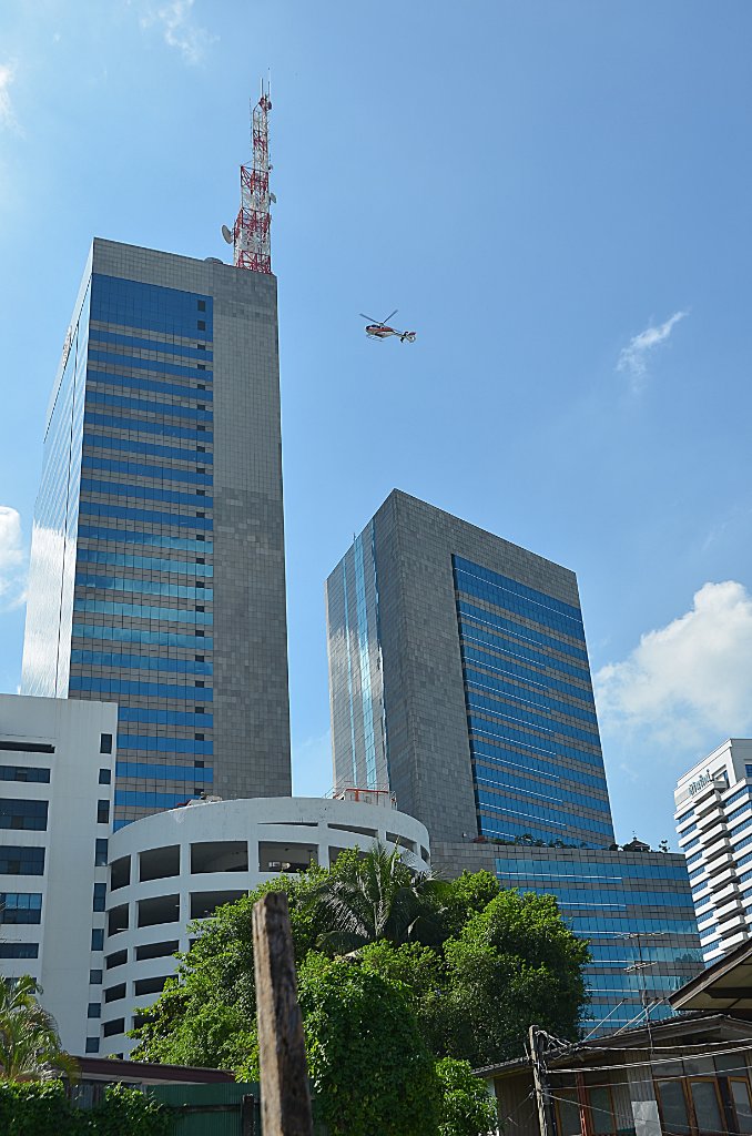 110.JPG