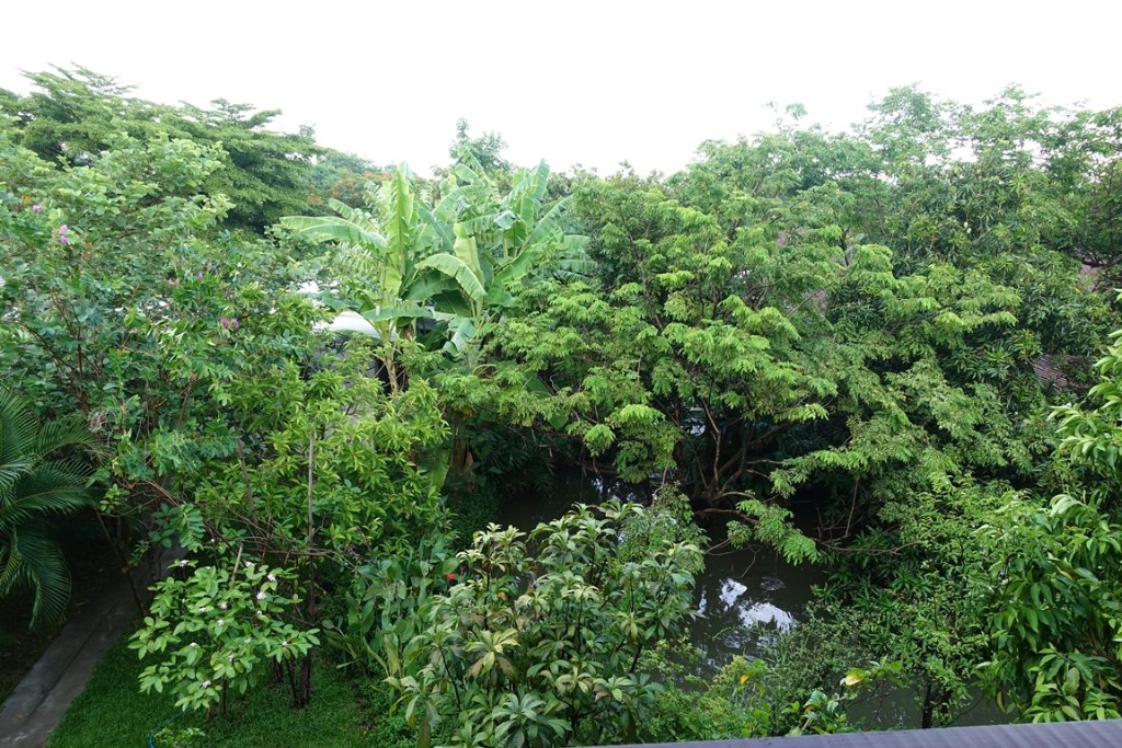 DSC09800.JPG